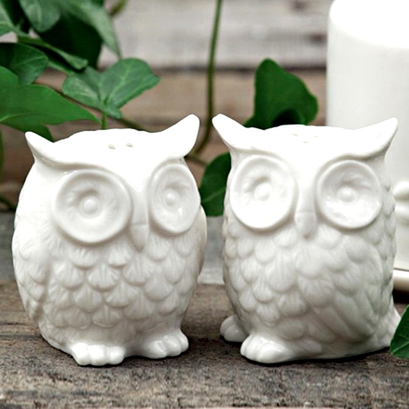 Sweet Owl Salt & Pepper Shakers