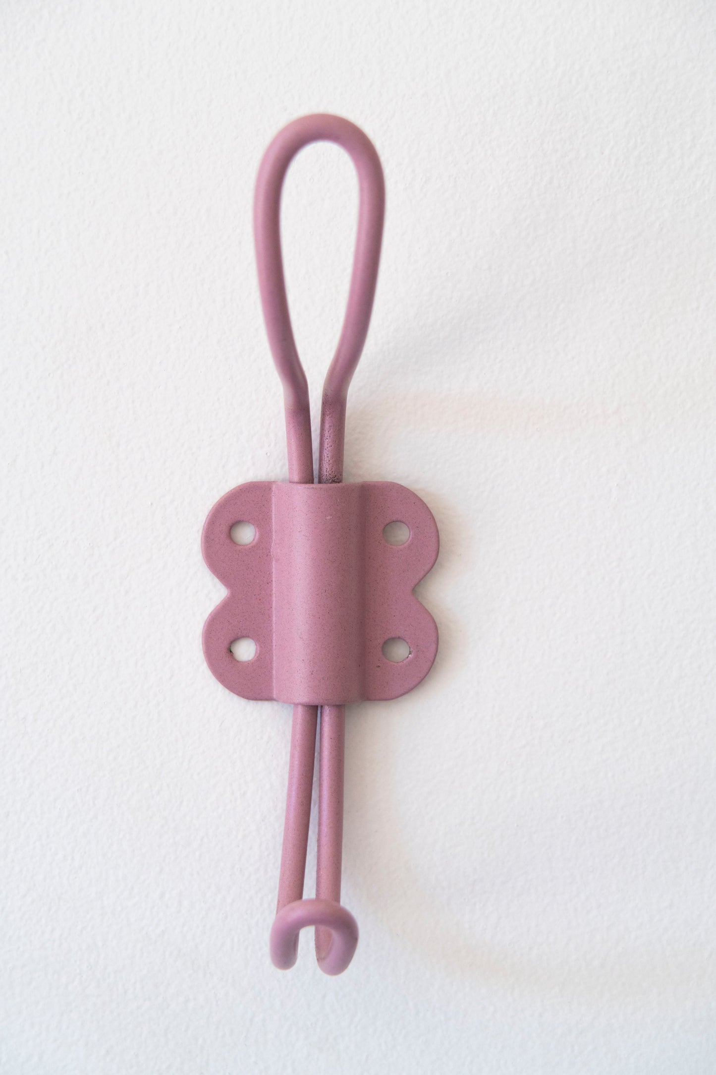 Colourful Iron Hooks