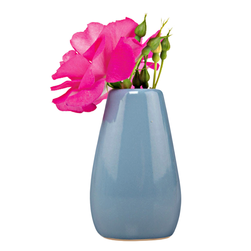 Sweet Bulb Vases