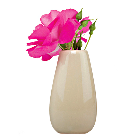Sweet Bulb Vases