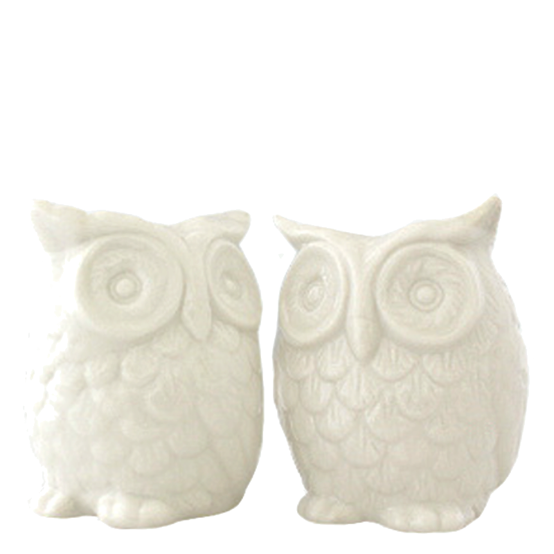 Sweet Owl Salt & Pepper Shakers