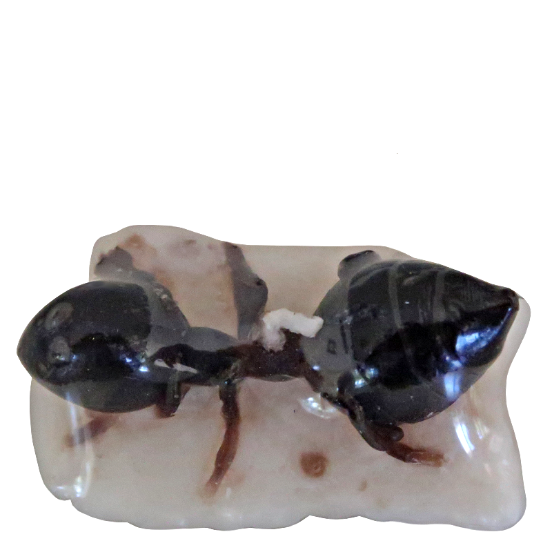 Quirky Sugar Ant Candle